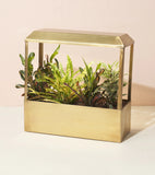 Smart Growhouse Smart Growhouse