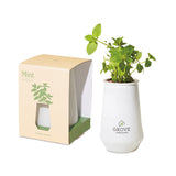 Modern Sprout® Tapered Tumbler Grow Kit Modern Sprout® Tapered Tumbler Grow Kit