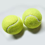 Fido's Dog Ball