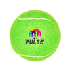 Fido's Dog Ball