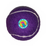 Fido's Dog Ball