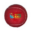 Fido's Dog Ball