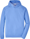 Peter Millar® Pine Performance Hoodie