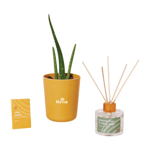 Modern Sprout® Find Balance Take Care Kit - Aloe