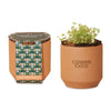 Modern Sprout® Tiny Terracotta Grow Kit Good Luck Clover